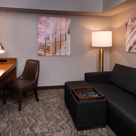 Springhill Suites By Marriott Pittsburgh North Shore