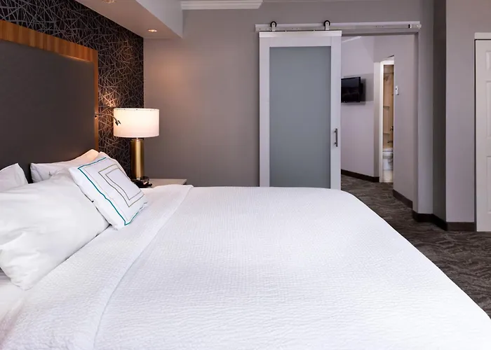 Hotel Springhill By Marriott North Shore Pittsburgh