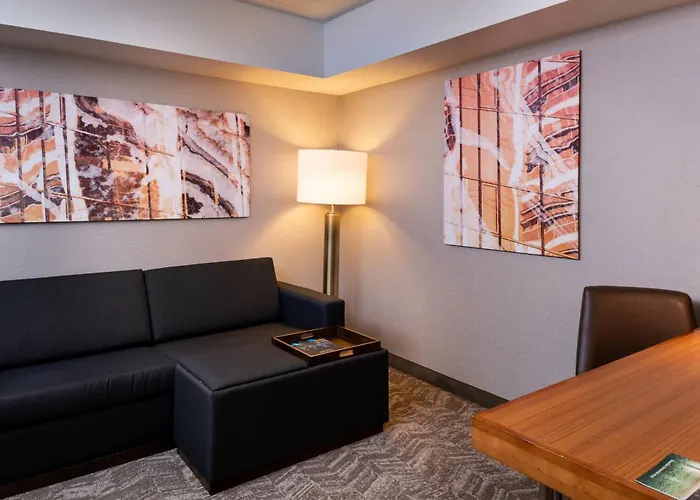 Springhill By Marriott North Shore 3* Pittsburgh