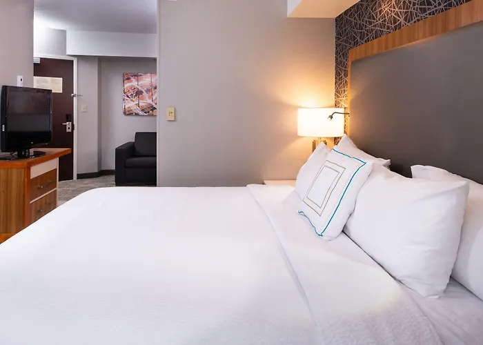 Springhill By Marriott North Shore Hotel Pittsburgh