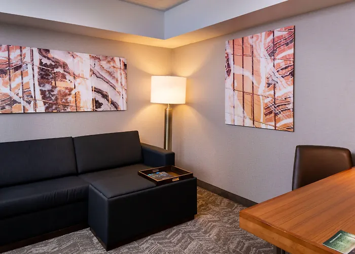 Springhill By Marriott North Shore Pittsburgh