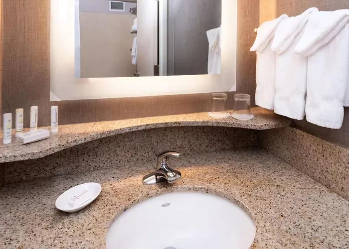 Springhill By Marriott North Shore Hotel Pittsburgh