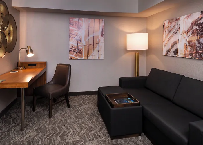 Hotel Springhill By Marriott North Shore Pittsburgh